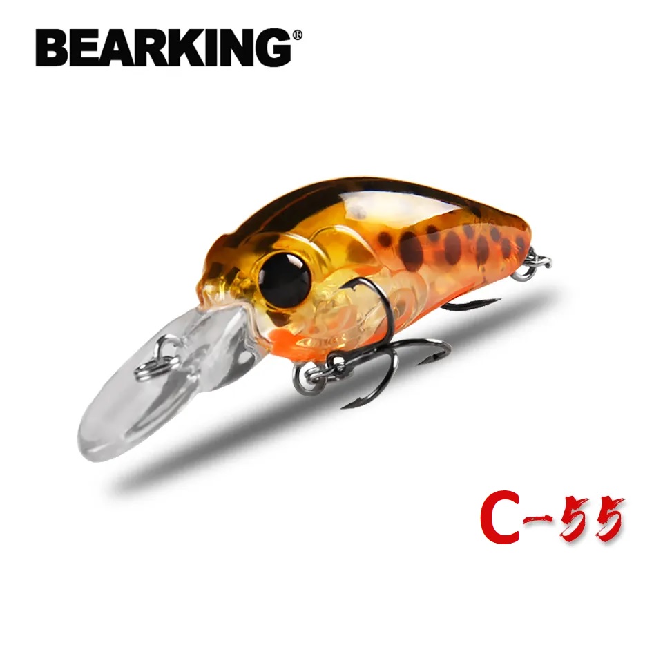 Bearking C55 Camion Magnum DR / DW24