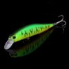 WALK FISH Realis 100SR FF