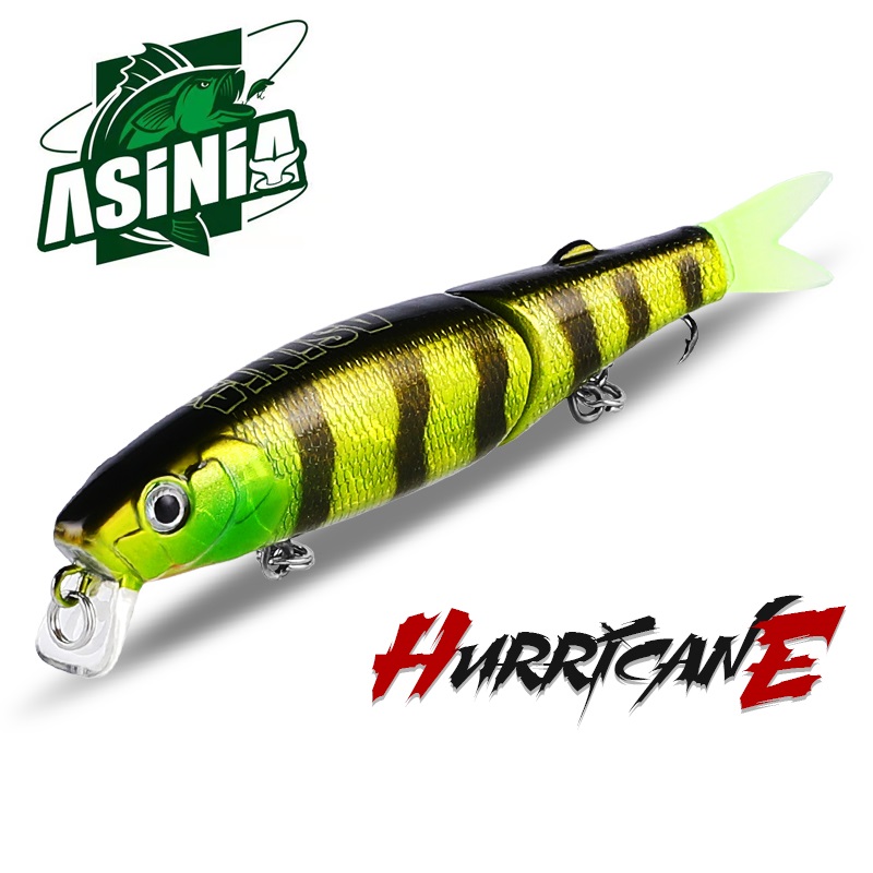 ASINIA AS-Jack-small HURRICANE (Tiny Magallon)