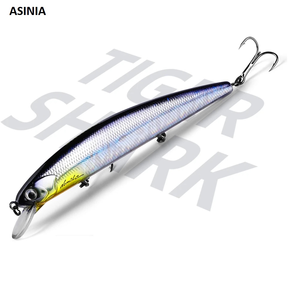 ASINIA AS-D130 RUDRA 130SP