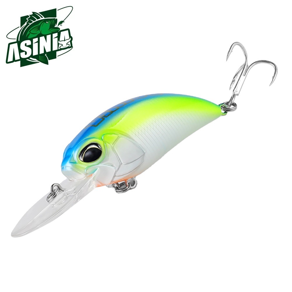 ASINIA AS-C60 (REALIS CRANK M65 A11)